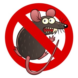 Prevent Rodents and Rodent Damage in Klamath Falls, OR