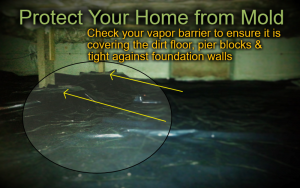 How to Protect Your Home or Condo from Mold in Klamath Falls, OR