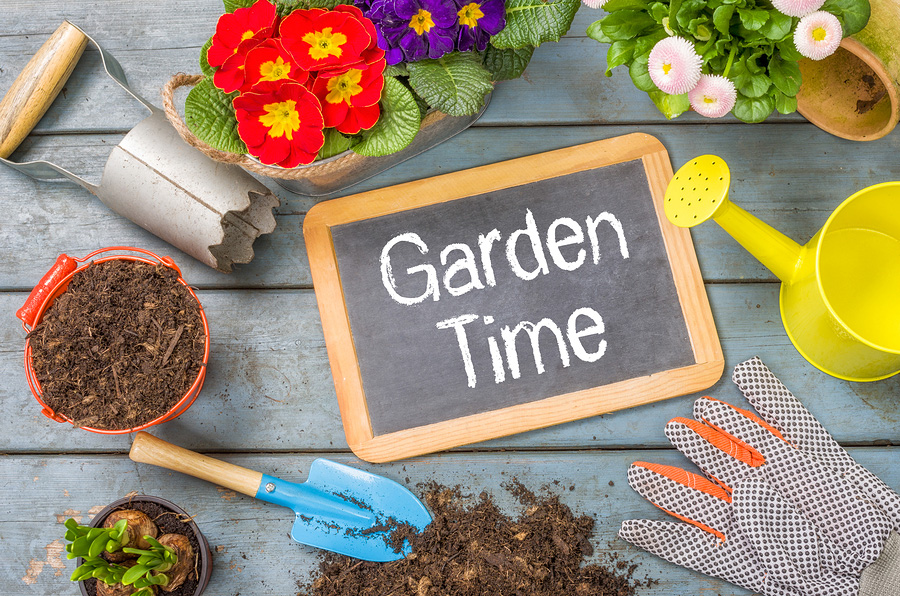 How to prepare and maintain a home garden in Klamath Falls, OR