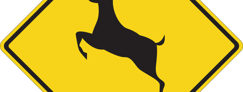 How to lower your risk for a deer collision