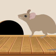 Rodent Damage & Preventative Steps to Take This Winter in Klamath Falls, Oregon